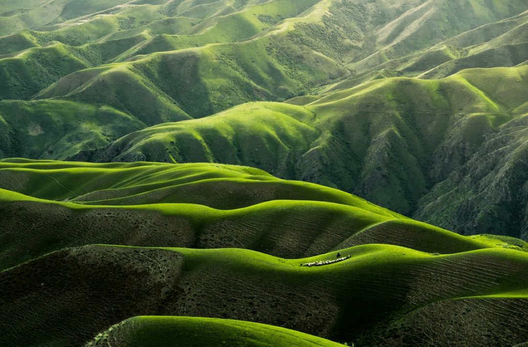 Respect for earth